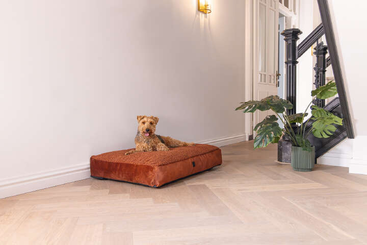 Designed by Lotte Hundekissen Yndis